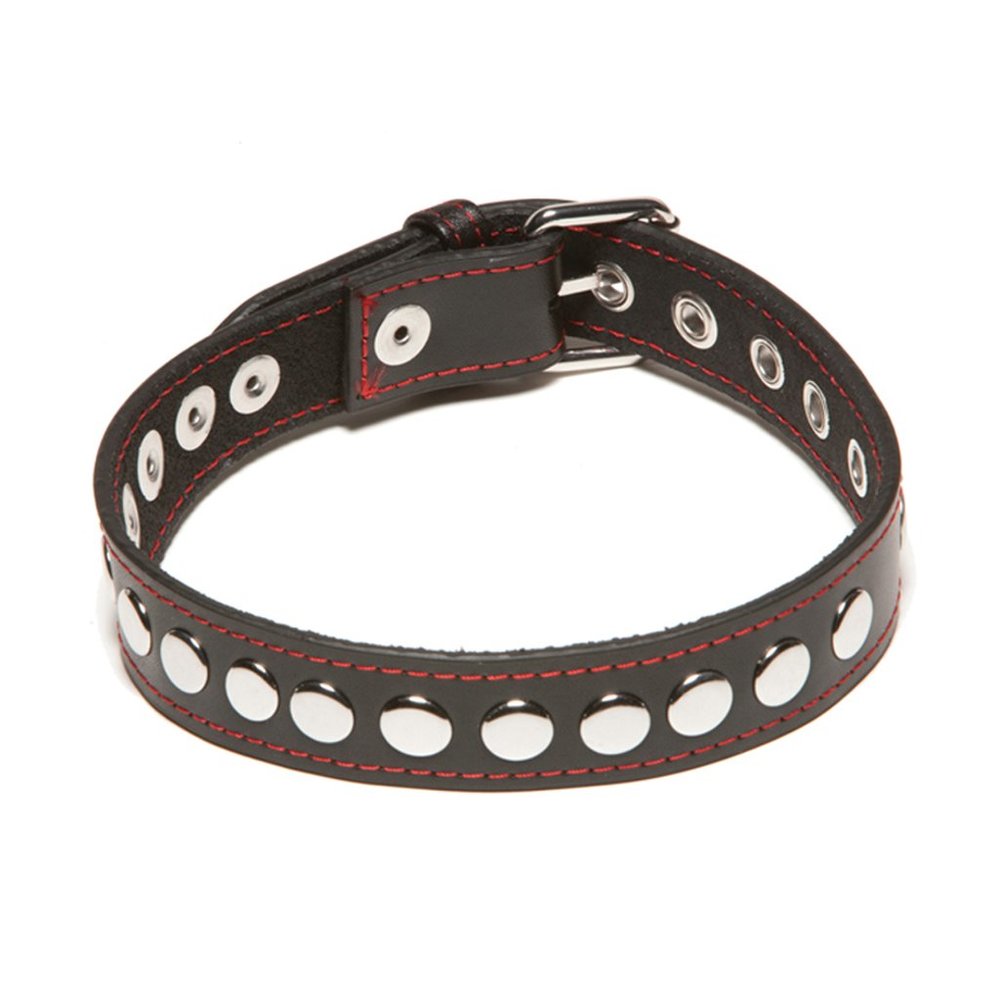 Studded Collar with Buckle Closure Unisex